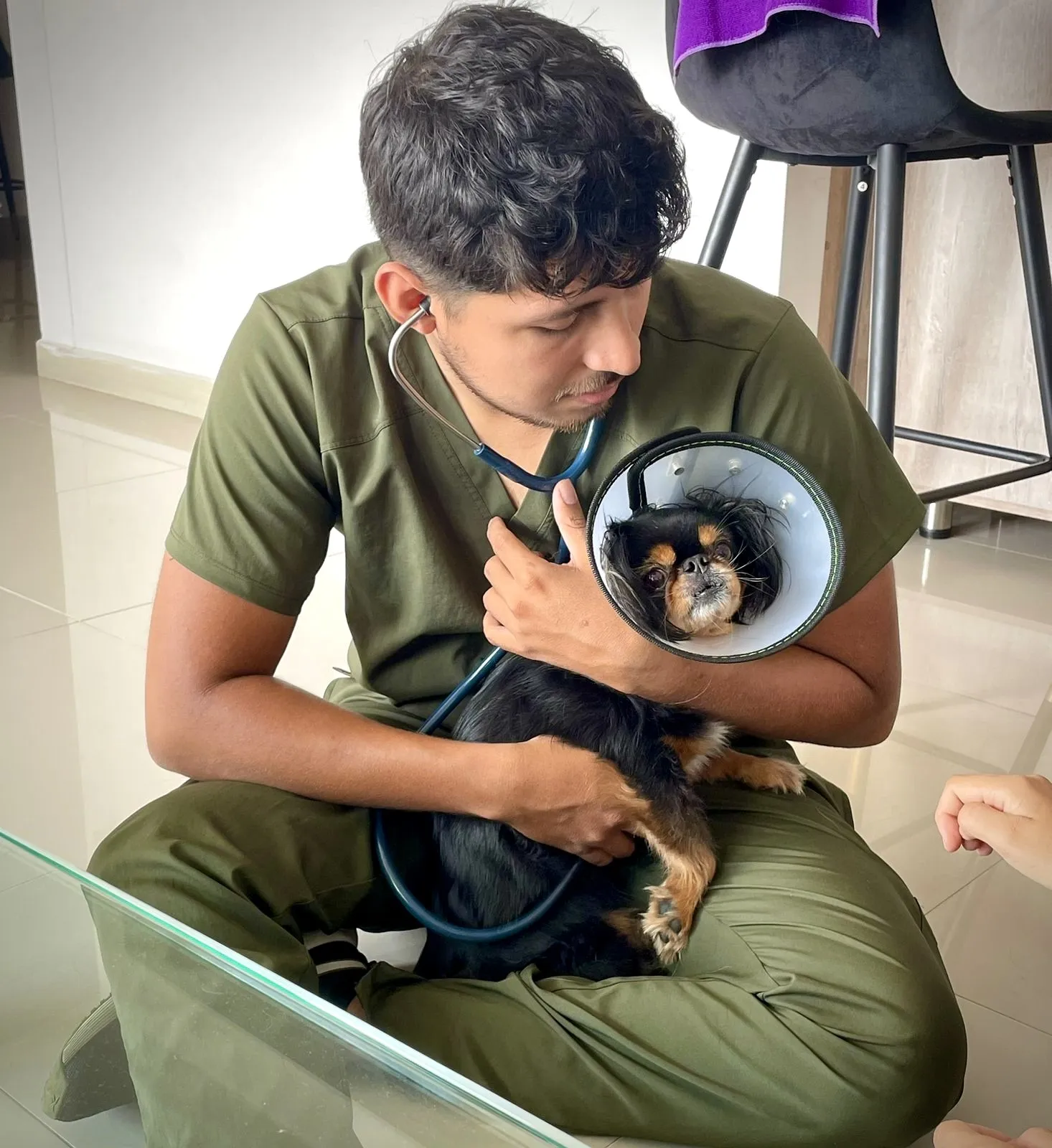 Dr. Jefferson López auscultando a un perro con collar isabelino en su casa