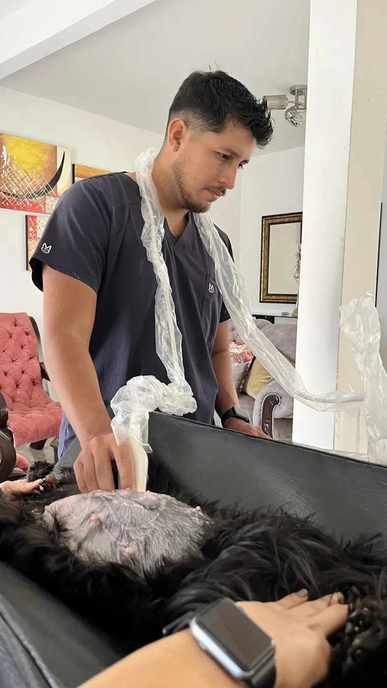Dr. Jefferson López haciendo una ecografía abdominal a un perro en su casa