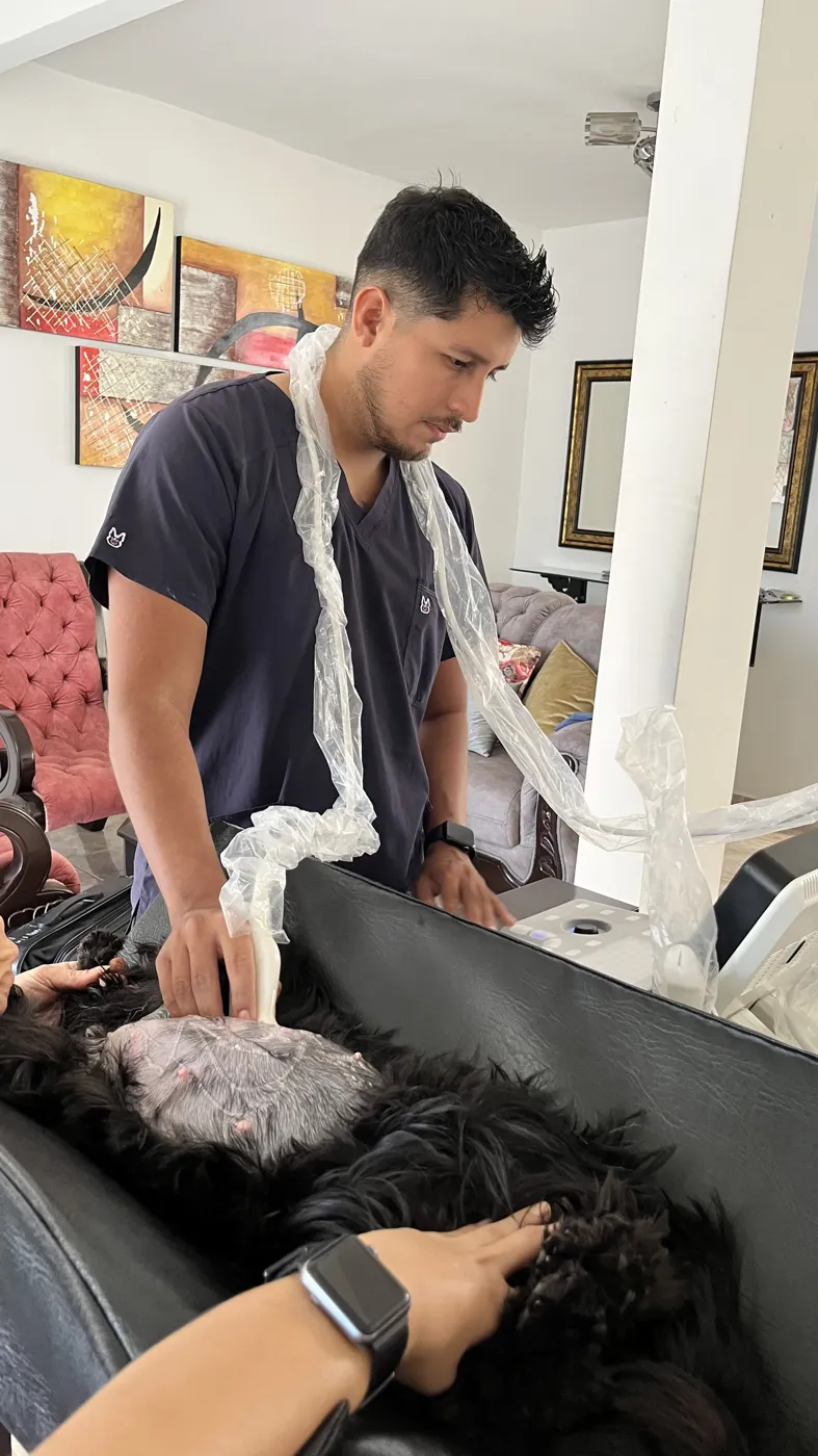Dr. Jefferson López preparando una ecografía a un perro en la sala de su casa