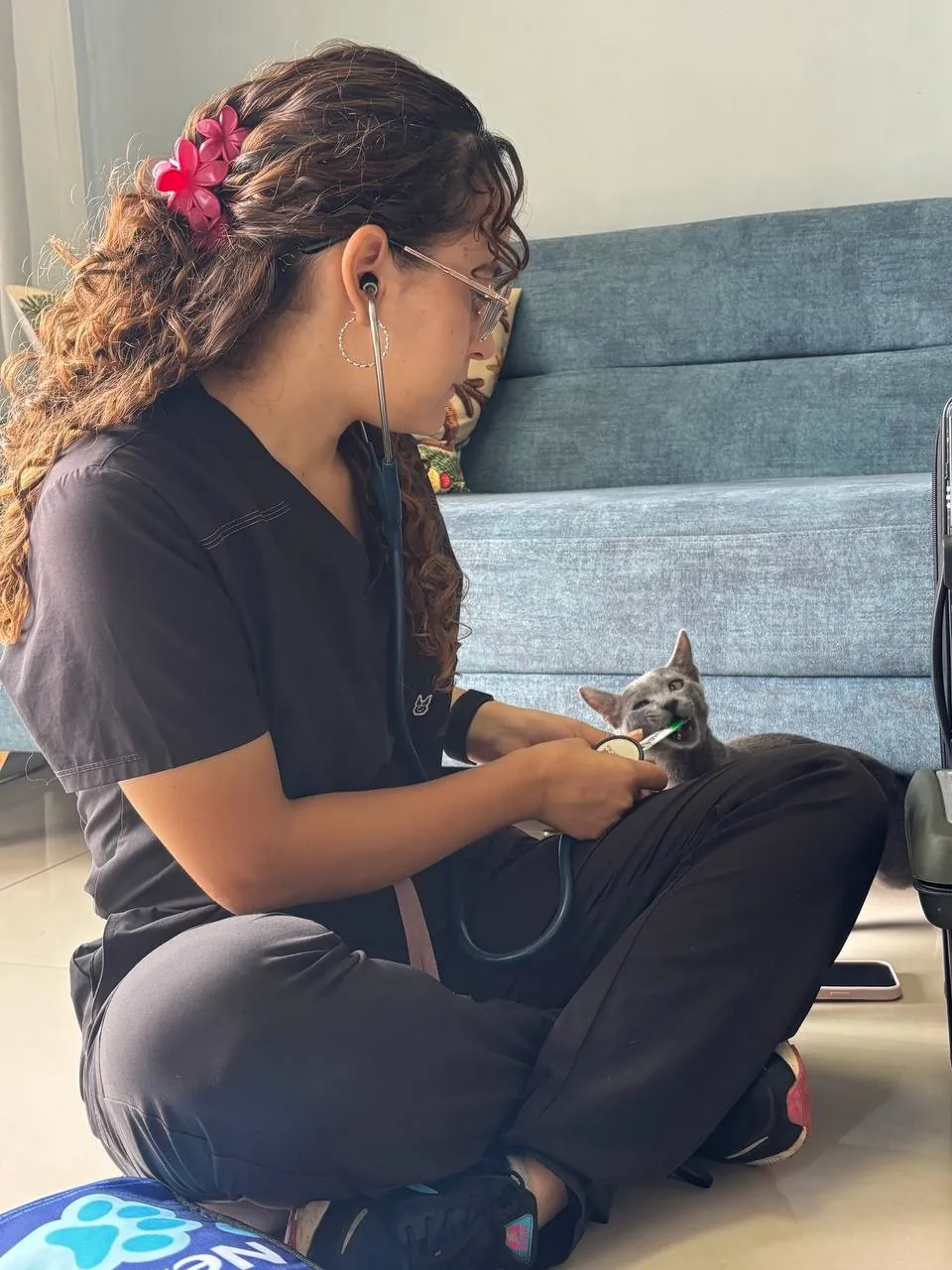 Dra. Angélica Abadía revisando a un gato en su casa en Cali