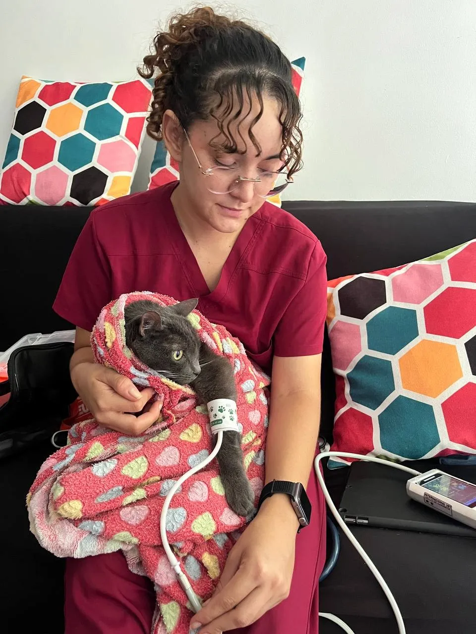 Dra. Angélica Abadía con un gato envuelto en una cobija mientras se monitorean sus signos vitales