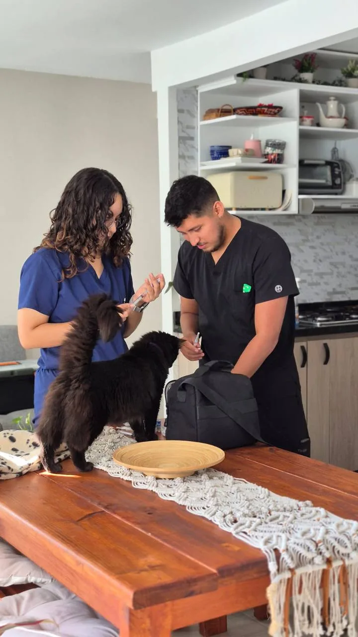 Dra. Angélica Abadía y Dr. Jefferson López preparando la vacuna de una mascota en su casa